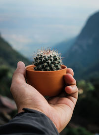 Close-up of hand holding potted plant