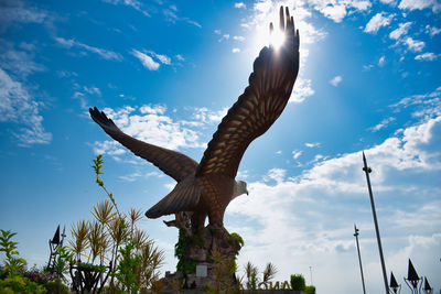 Low angle view of eagle flying in sky