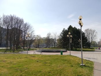 Trees on field in park against sky