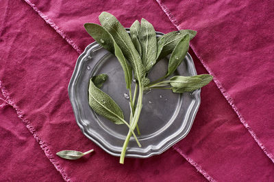 Directly above shot of leaves in plate on tablecloth