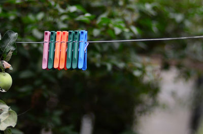 Close-up of clothespins hanging on rope against trees