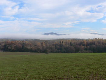 Scenic view of field against sky