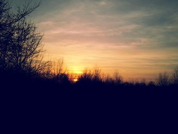 Silhouette of trees at sunset