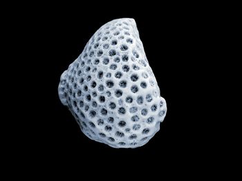 Close up of black background