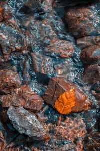 High angle view of rocks in water