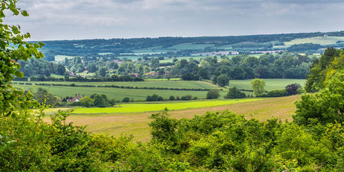 Scenic view of field against cloudy sky