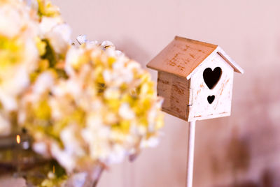 Close-up of birdhouse on wooden wall
