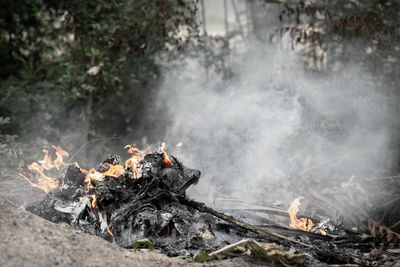 High angle view of bonfire on wood