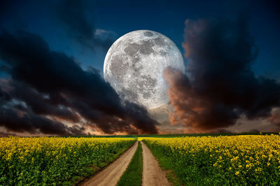 Meadow at night in full moon light and road. landscape with rapeseed field and clouds