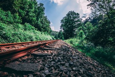 Railroad tracks amidst trees against sky