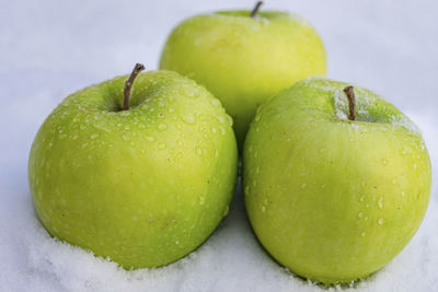 Ripe and juicy green apples on melted snow