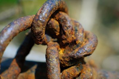 Close-up of rusty metal chain