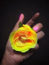 Close-up of hand holding yellow rose against black background