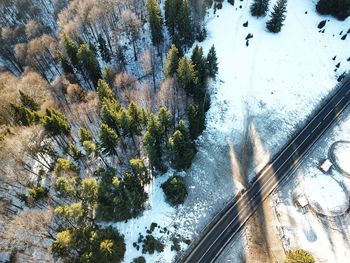 High angle view of snow covered car on trees