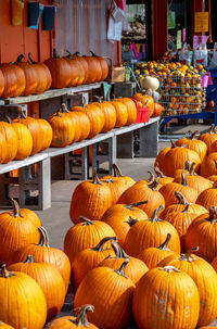 Piles of bright orange pumpkins and colorful fall gourds are displayed at a farm market