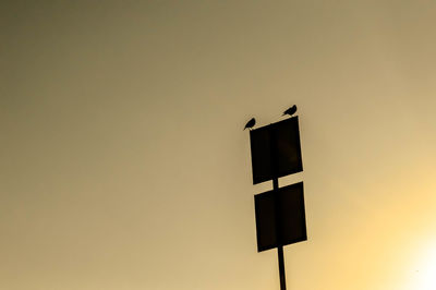 Silhouette birds on sign board against sky