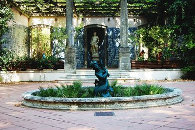 View of fountain in garden