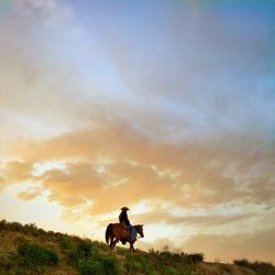 Horse on field against cloudy sky