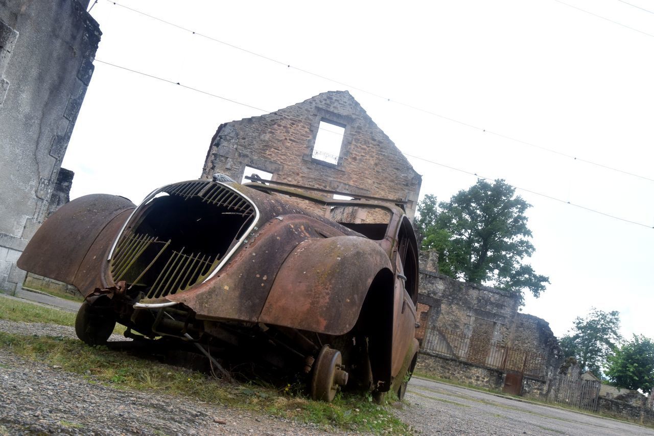 ABANDONED VINTAGE CAR AGAINST TREES