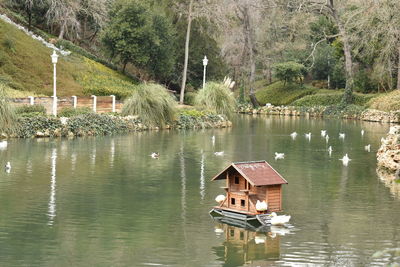 Scenic view of lake by trees