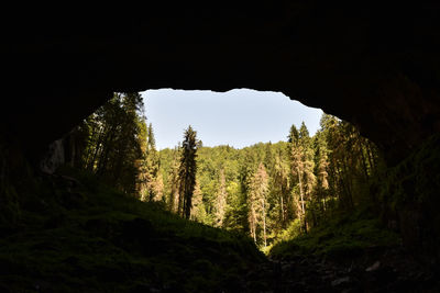 Low angle view of rock formations