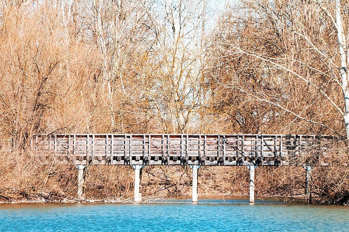 nature, water, text, day, no people, bare tree, tree, plant, western script, architecture, built structure, communication, outdoors, tranquility, land, beauty in nature, waterfront, sign, tranquil scene