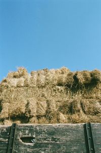 Scenic view of landscape against clear blue sky