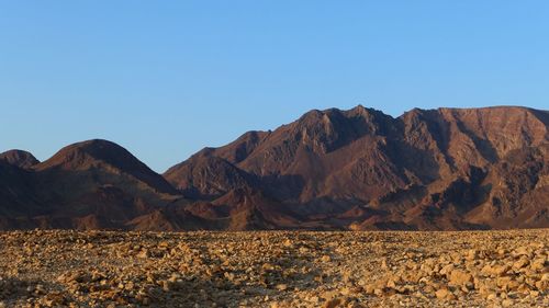 Scenic view of arid desert at sunrise 