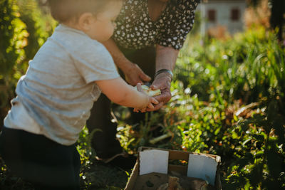 Low section of woman with granddaughter harvesting vegetable in yard