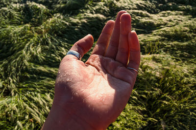 Close up hand with dew drops concept photo