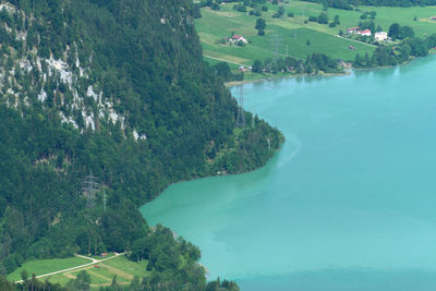High angle view of trees and sea