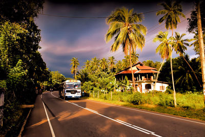 Cars on road by trees and houses against sky