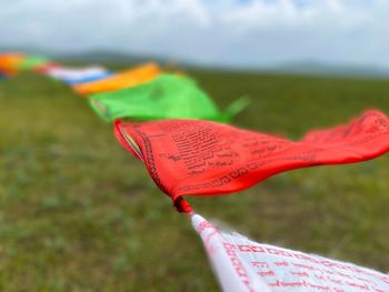 Close-up of silk flags against blurred background
