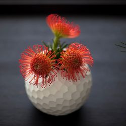 Close-up of red ball on table