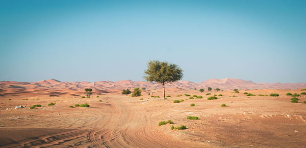 Scenic view of desert against clear sky