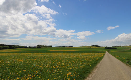 Empty road amidst field against sky