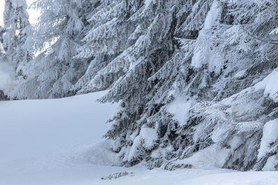 Scenic view of snow covered mountains