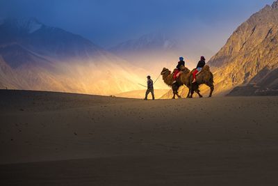 People riding in desert