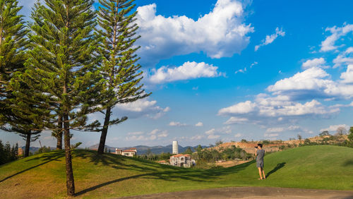 Trees on field against sky
