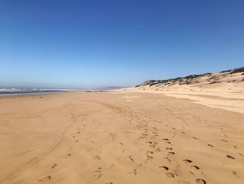 Scenic view of beach against clear blue sky