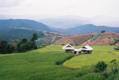 Scenic view of agricultural field by mountains against sky