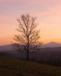 Scenic view of field against sky during sunset