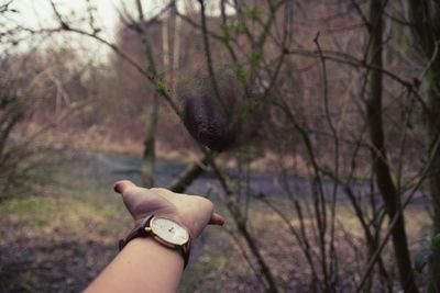 Cropped hand of woman throwing dirt against bare trees