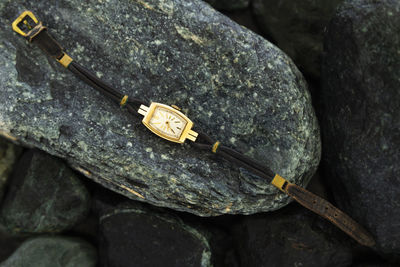 Closeup of a retro style gold colored wristwatch with worn leather straps laying on wet green stones