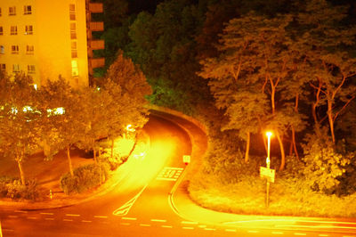 Road along trees at night