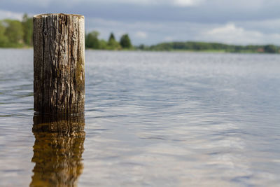 Close-up of wooden post