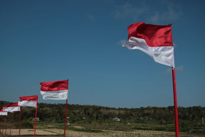 Low angle view of flag flags on field against sky