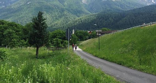 Road amidst trees on landscape against mountains