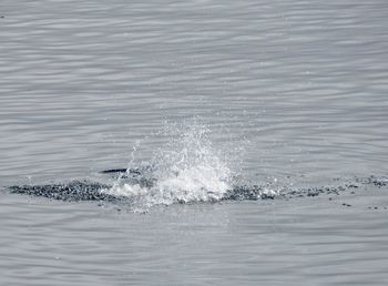 Water splashing in sea
