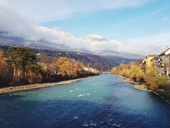 Scenic view of river amidst trees against sky